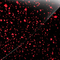 Red Glitter